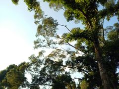 -炮台山公园