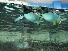 -成都浩海立方海洋公园