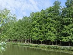 -青山湖景区