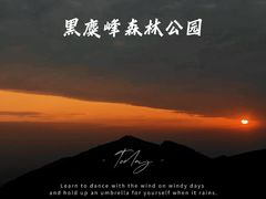 -长沙黑麋峰国家森林公园