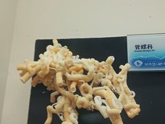 -贝壳梦幻世界