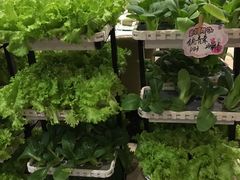 -高老庄绿色传奇(昊元生活广场店)