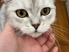 -中农大我爱我爱动物医院·核磁CT·猫病·24小时夜诊中心(石佛营店)
