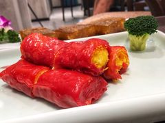 -丁老爷子苏香圆