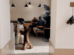-小意思咖啡店(草桥店)