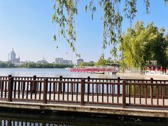-莲花池公园