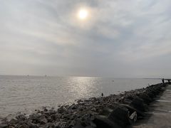-奉贤海滩