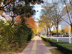 -七食九号食堂(东丽空港店)