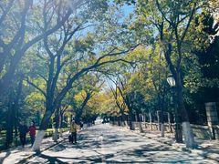 -八大关景区