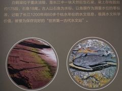 -上海中国航海博物馆