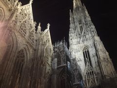 -斯蒂芬主教座堂(Stephansdom)