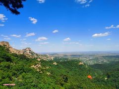 -大芦花风景区