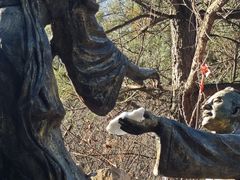 -沕沕水生态风景区