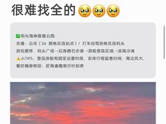 -日照海滨国家森林公园