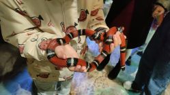 -酷嗒动物文化乐园(cutezoo西溪乐天城店)