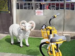 -洪记白水羊头(天坛店)