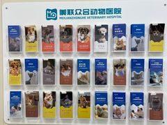-美联众合爱康动物医院•复杂内科•肿瘤科•牙科•腔镜诊疗中心
