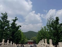 -迎泽公园