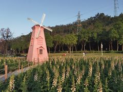 -顺峰山公园