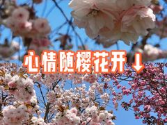 -利群胶州购物广场(澳门路店)