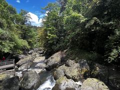 -龙苍沟森林公园