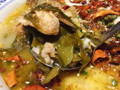 酸菜系(鲈鱼)-凯荟·不止酸菜鱼(广州鸿德国际店)