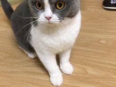-猫和宫(六道口店)