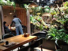 -森味薪火烧•烧鸟居酒屋•日本料理(望京店)
