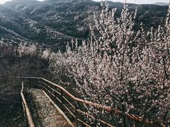 -定都阁