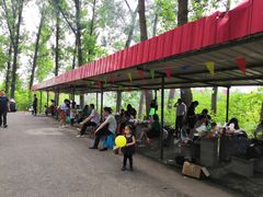 -金岛生态园烧烤露营地