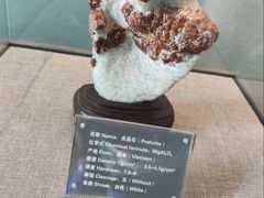 -房山世界地质公园博物馆