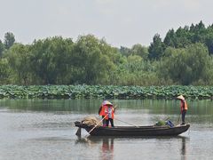 -溱湖国家湿地公园