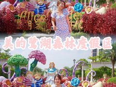 -美的鹭湖森林度假区