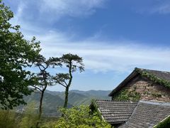 -莫干山风景区