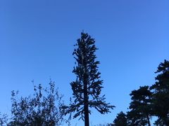 -北京鹫峰国家森林公园