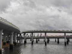 -演武大桥观景平台