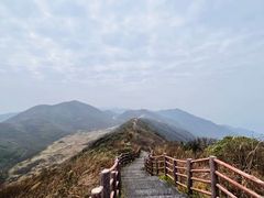 -大围山国家森林公园