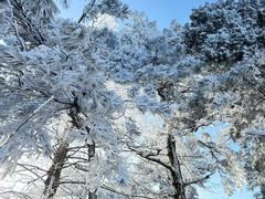 -庐山风景区花径公园