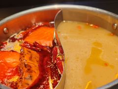 -季季山·云南野生菌火锅(上海首店)