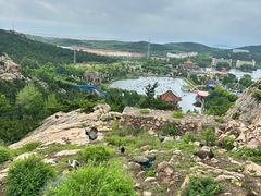 -西霞口神雕山野生动物世界