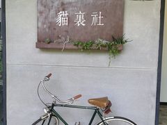 -猫里有甜