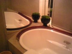 Image425-上海柏悦酒店