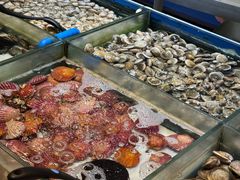 -川骄海鲜自助(亚运村店)
