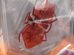 -胖东来生活广场(健康路店)