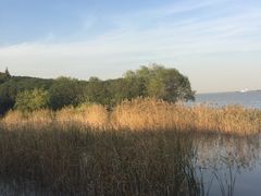 -吴淞炮台湾湿地森林公园烧烤区