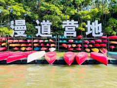 -上海海湾国家森林公园