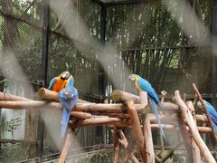 -广东茂名森林公园