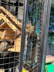 -酷嗒动物文化乐园(cutezoo西溪乐天城店)