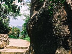 -山王坪喀斯特国家生态公园