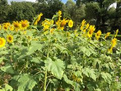 -福建鲤鱼洲酒店